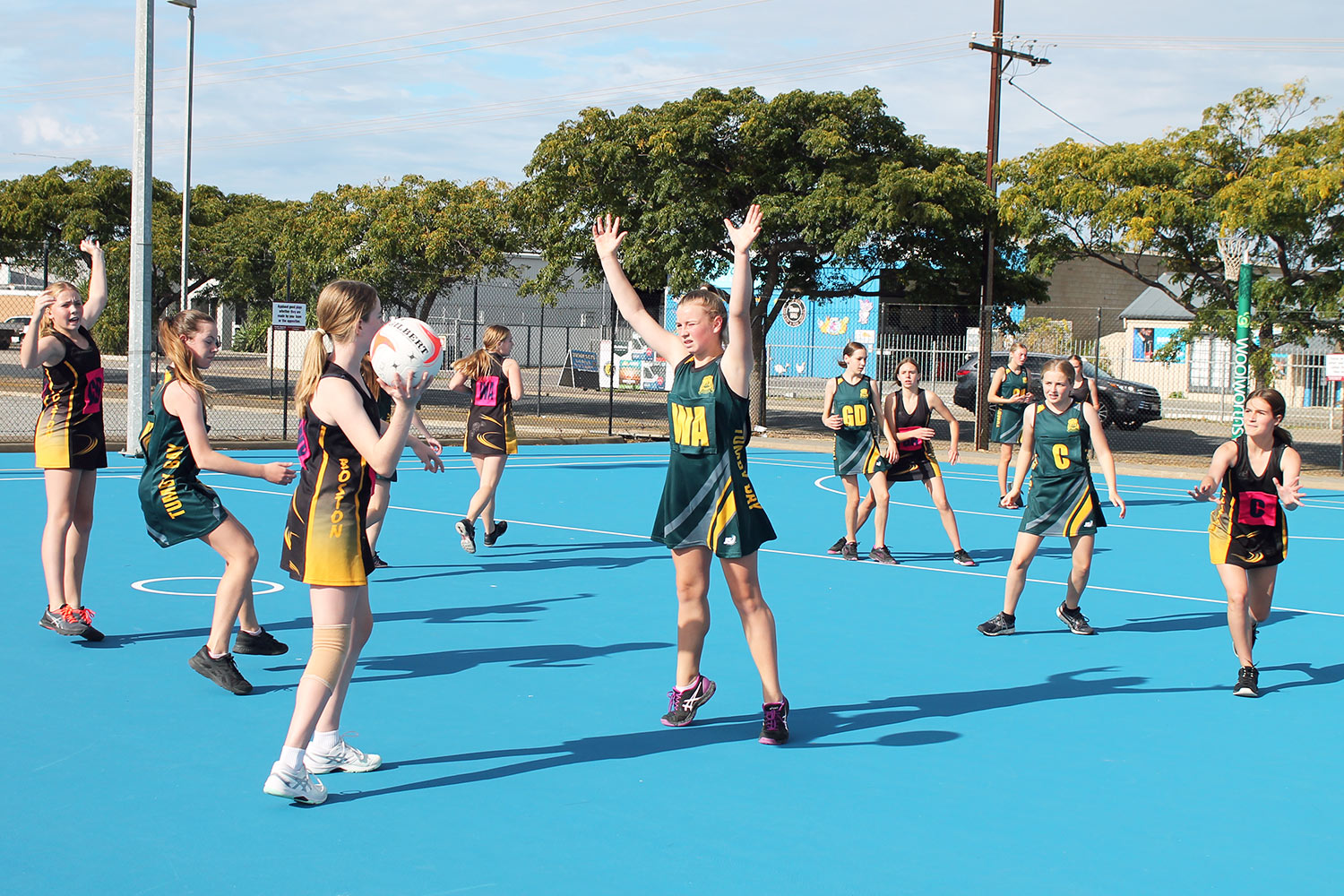 Netball Carnival Successfully Hosted by PLHS Port Lincoln High School