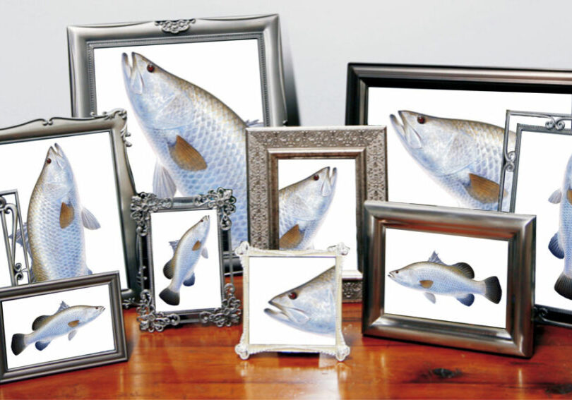 adopt-a-barra-web