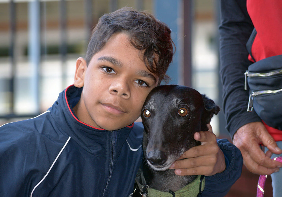 introducing-hope-the-greyhound-3