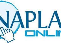naplan-2021