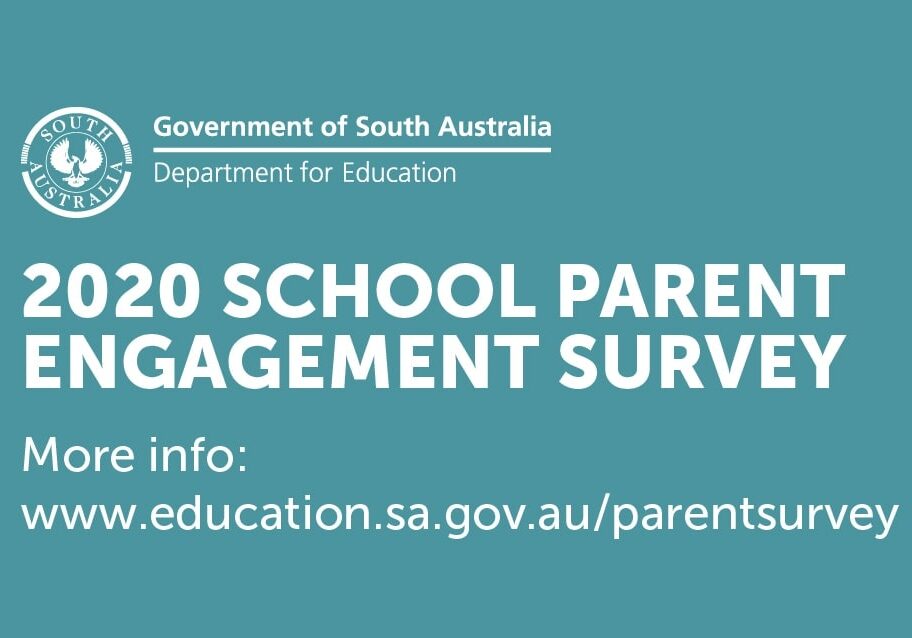 parent-survey