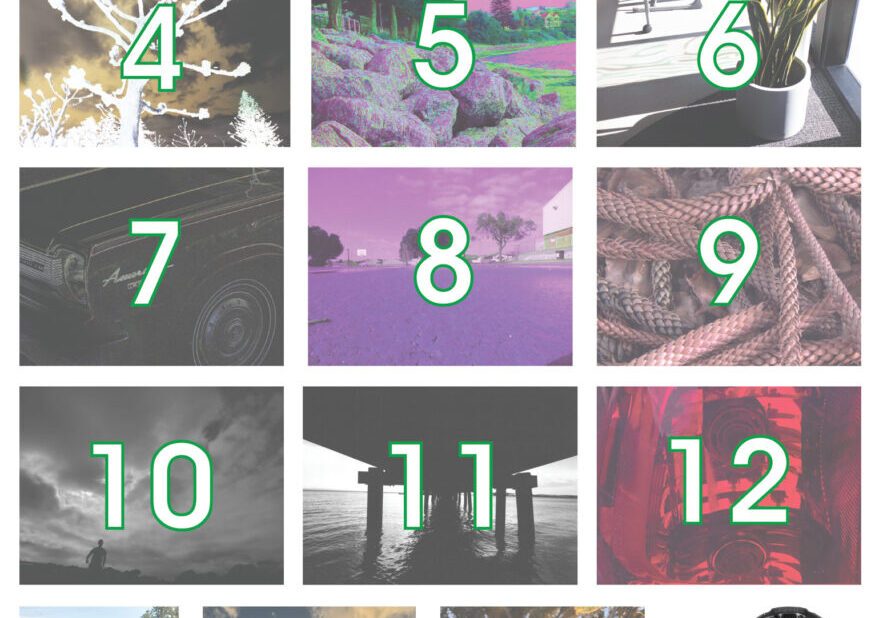 People's-Choice-Photography-Prize-Voting-Chart