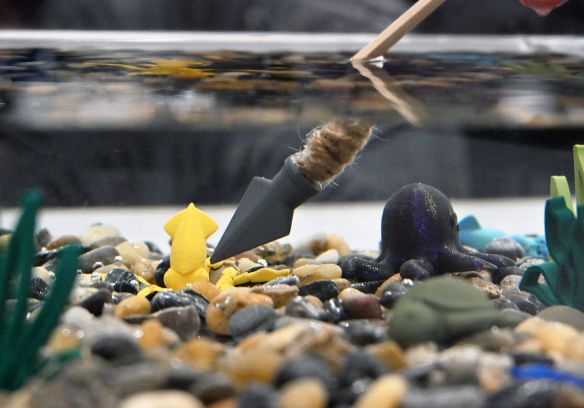 Spearing Success Refraction Experiment