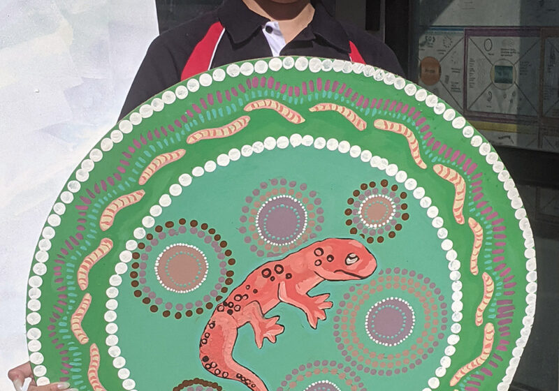 tiny-tafe-reconciliation-action-plan-collaboration-4